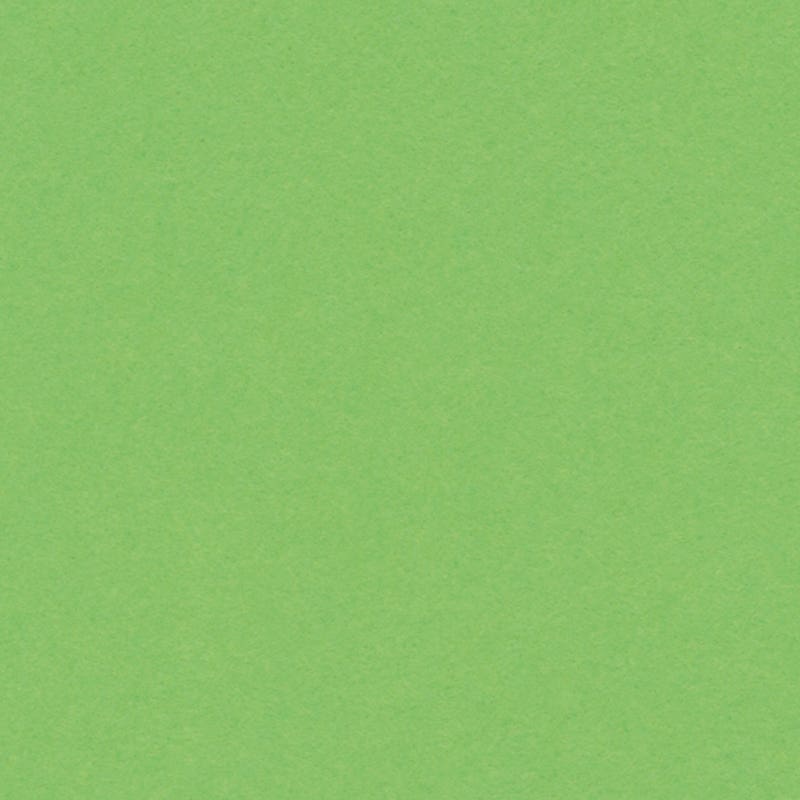 Kartongpapper, 160 g, 50x65 cm - ljusgrön  image