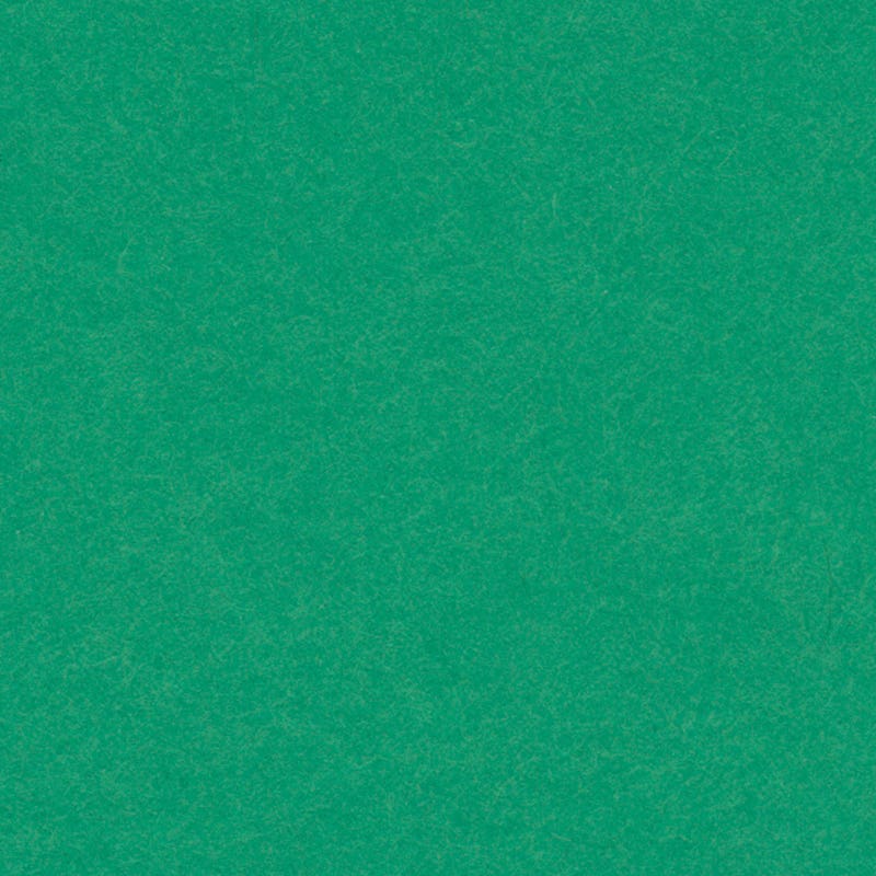 Kartongpapper, 50 x 65 cm, 280 g - grön image