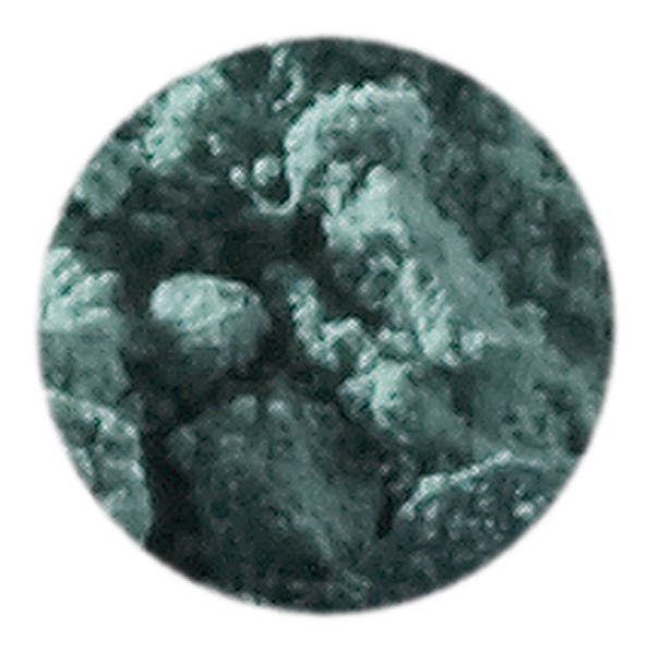Artemis växtfärgad pigment 50 ml, färg: bladgrön image