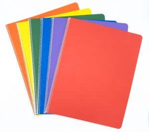 Early Literacy Lesson Books - portrait - blank/lined - 10 pack