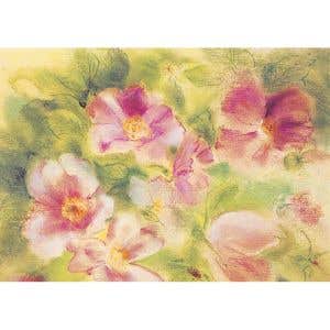 Marjan van Zeyl Postcards - Wild Roses