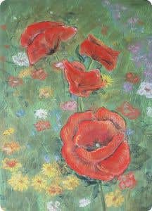 Postcards Kapitein Kalk - Poppies - Set of 5 Cards